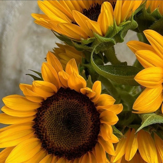 Rustic Sunshine | Bouquet